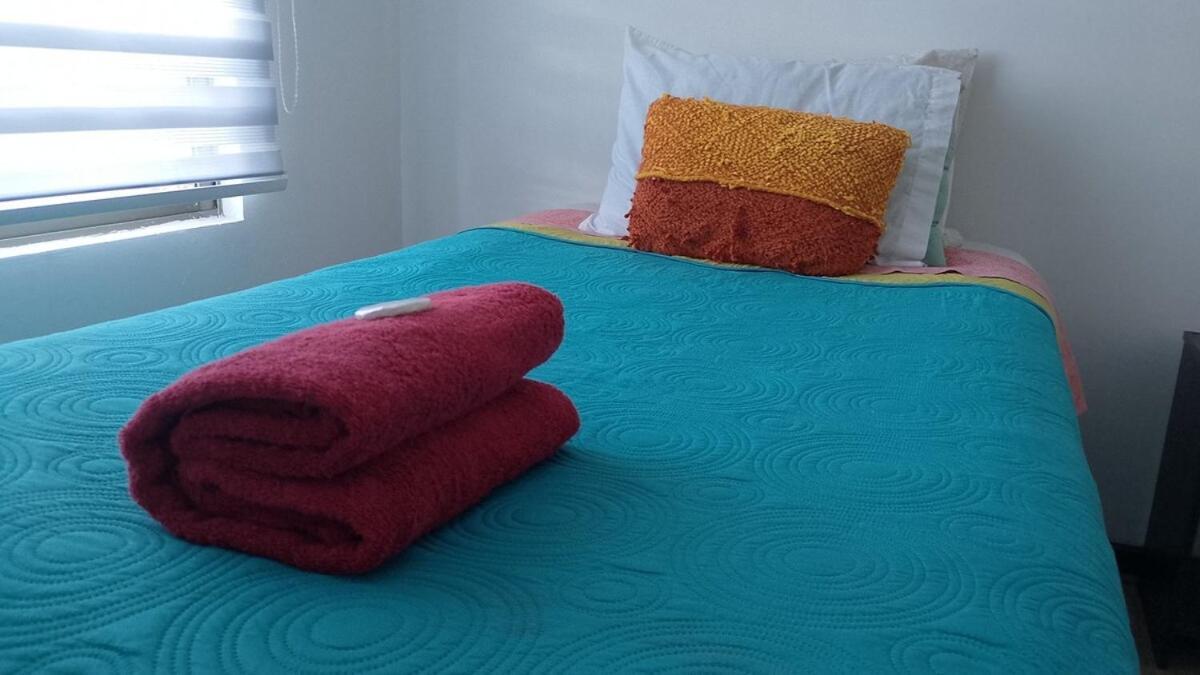 Esplendido Departamento En Providencia * Santiago