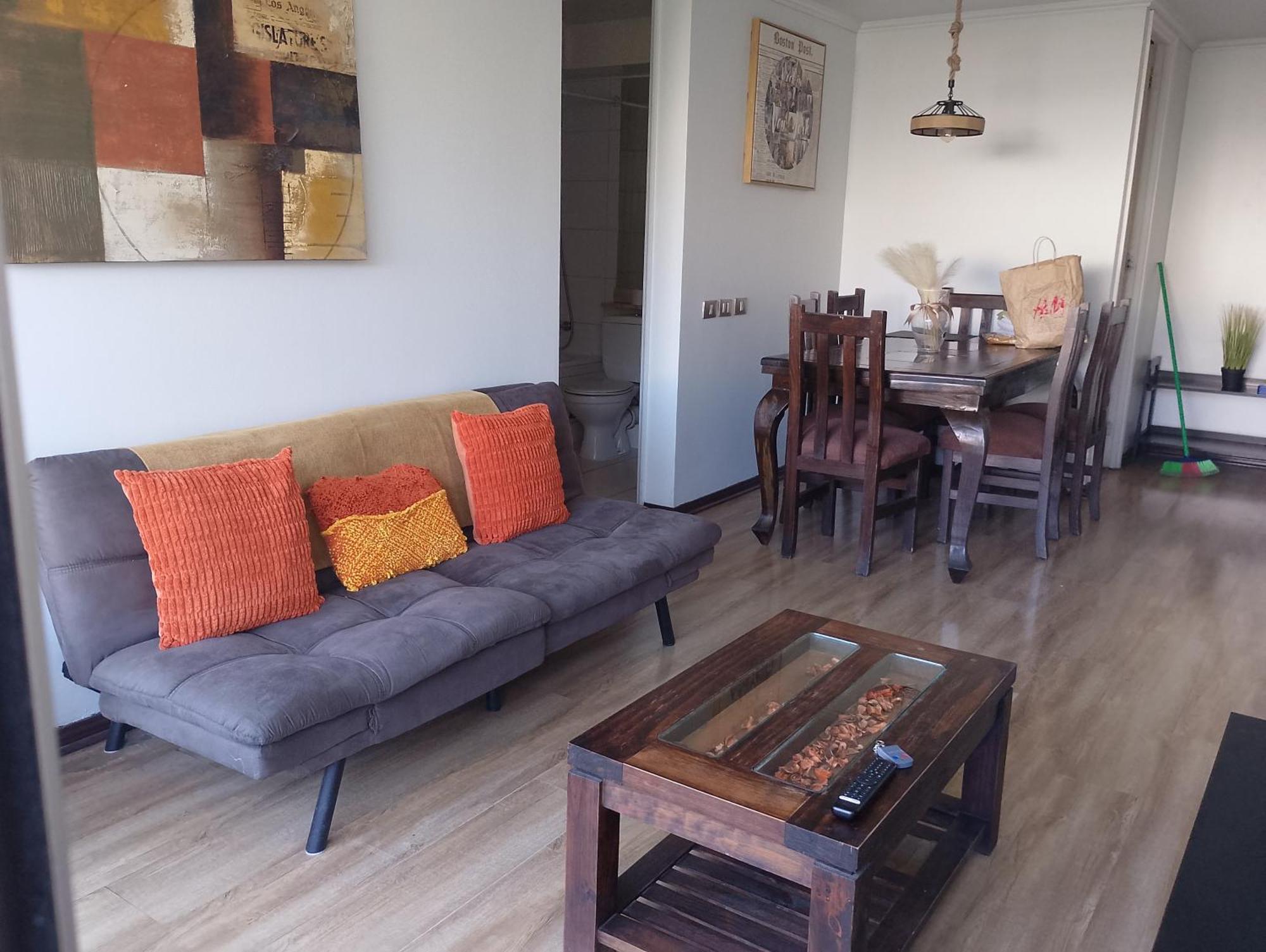 Esplendido Departamento En Providencia Santiago